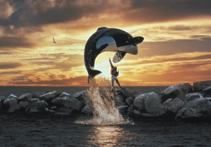 free willy (2)